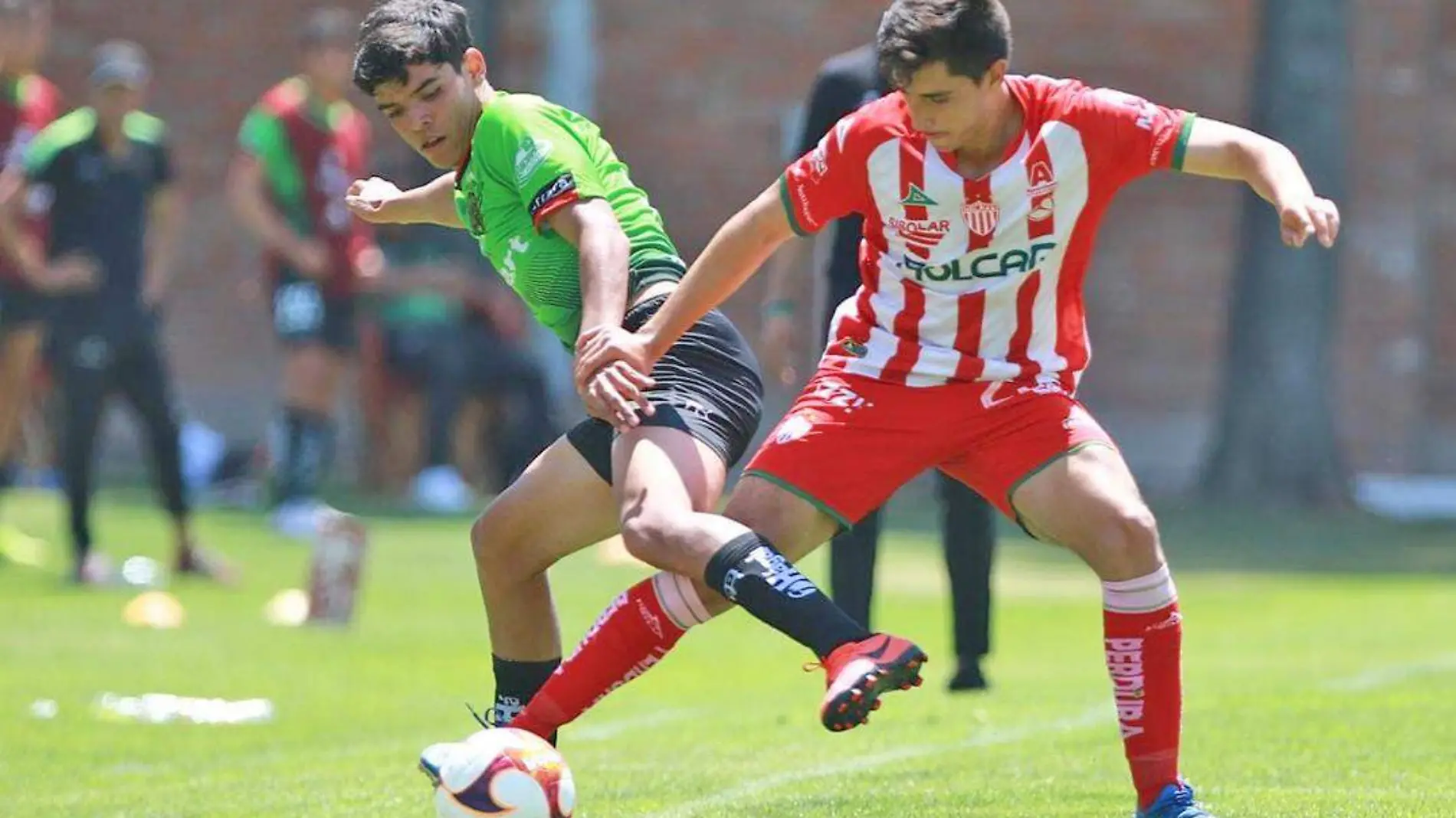 necaxa fuerzas basicas